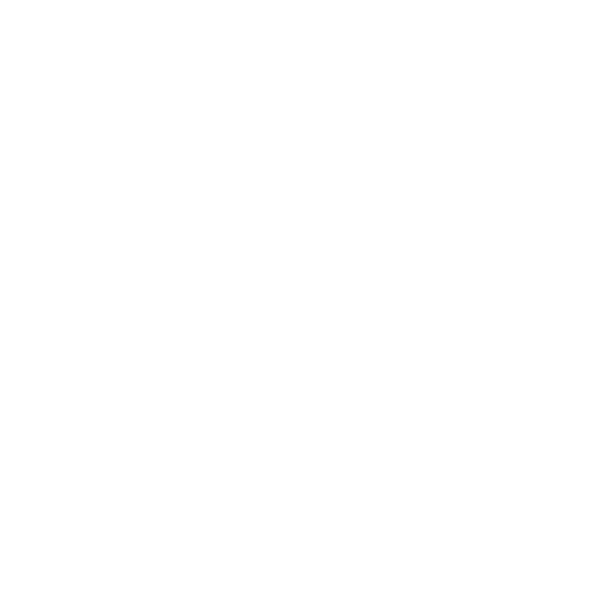 Deep Clean Service